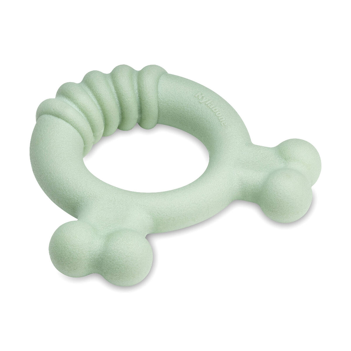 Mordedor de perro Nylabone SENSORY TACTILE RING Verde Manteca de cacahuete Pollo S
