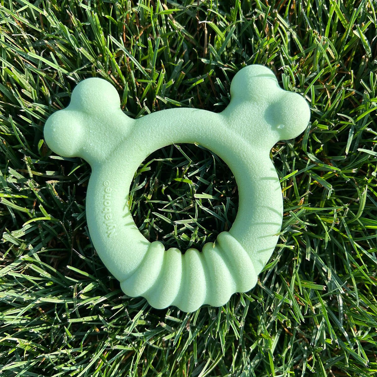 Mordedor de perro Nylabone SENSORY TACTILE RING Verde Manteca de cacahuete Pollo S