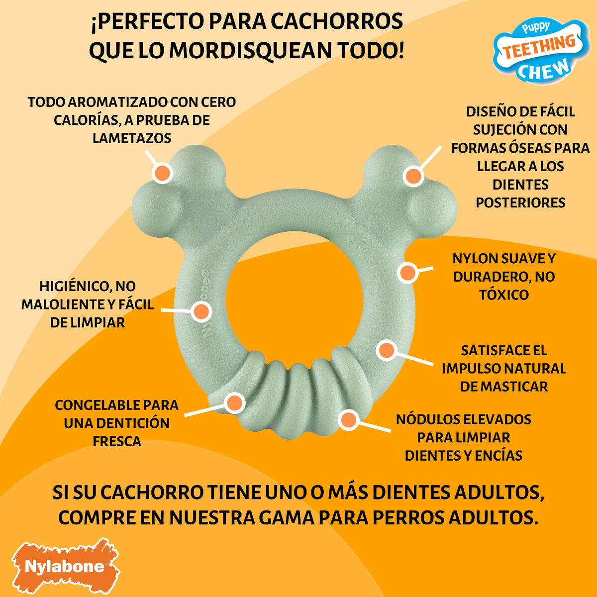 Mordedor de perro Nylabone SENSORY TACTILE RING Verde Manteca de cacahuete Pollo S