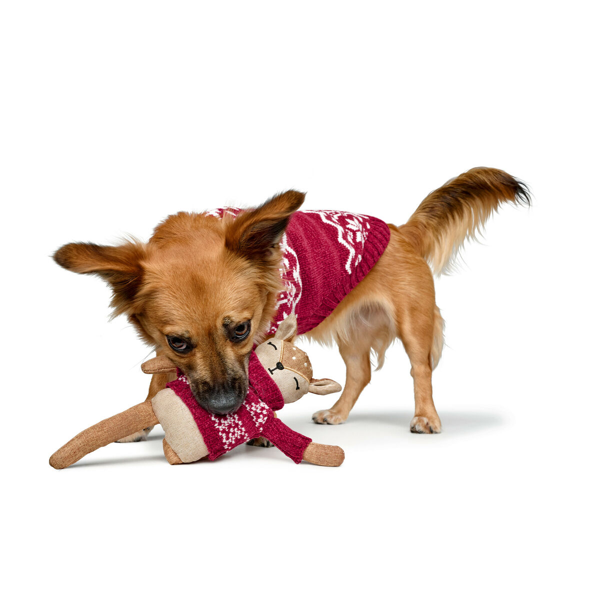 Juguete para perros Hunter Birka Marrón Ciervo