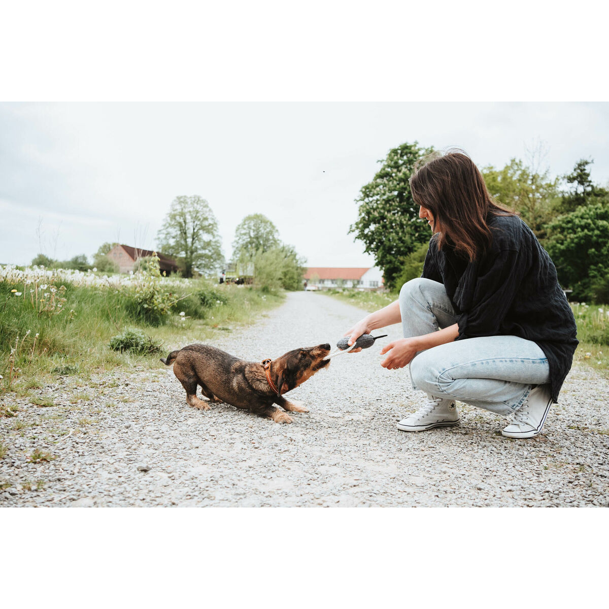 Juguete para perros Hunter NEBRASKA Beige