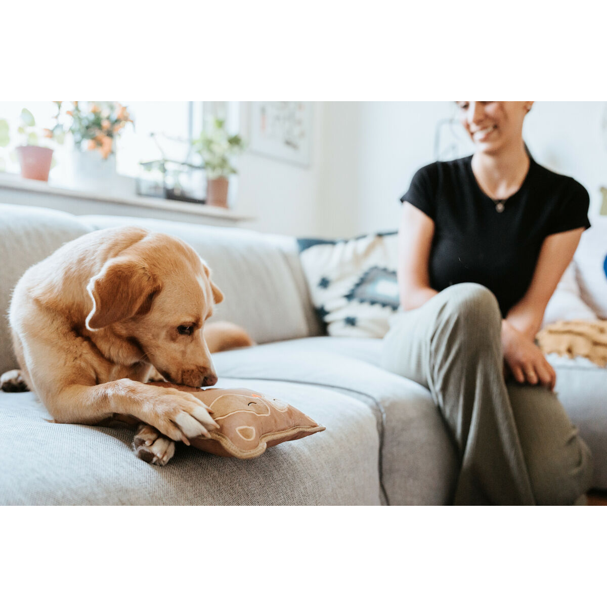 Juguete para perros Hunter Tough Tundra Beige Mapache