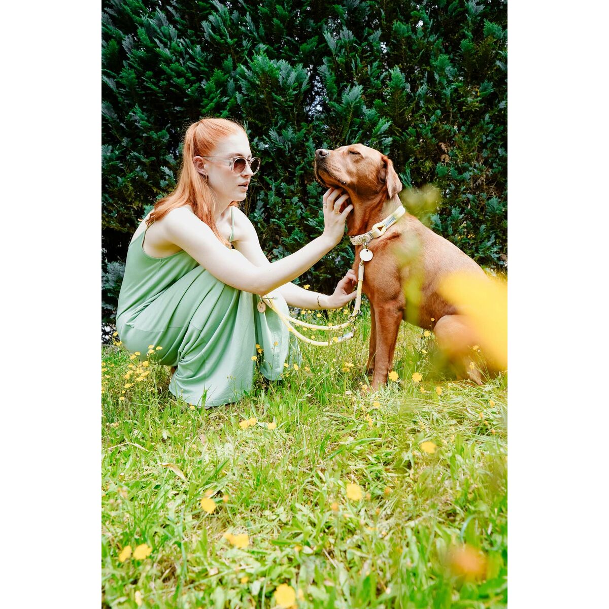 Collar para Perro Hunter Malia Lima L 50-59 cm