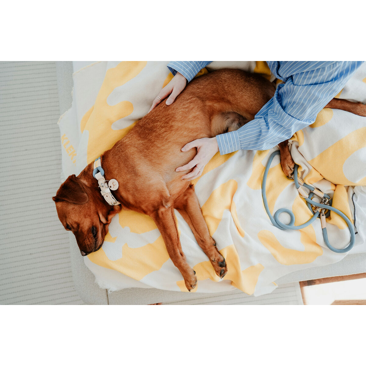 Collar para Perro Hunter Malia Azul L 50-59 cm