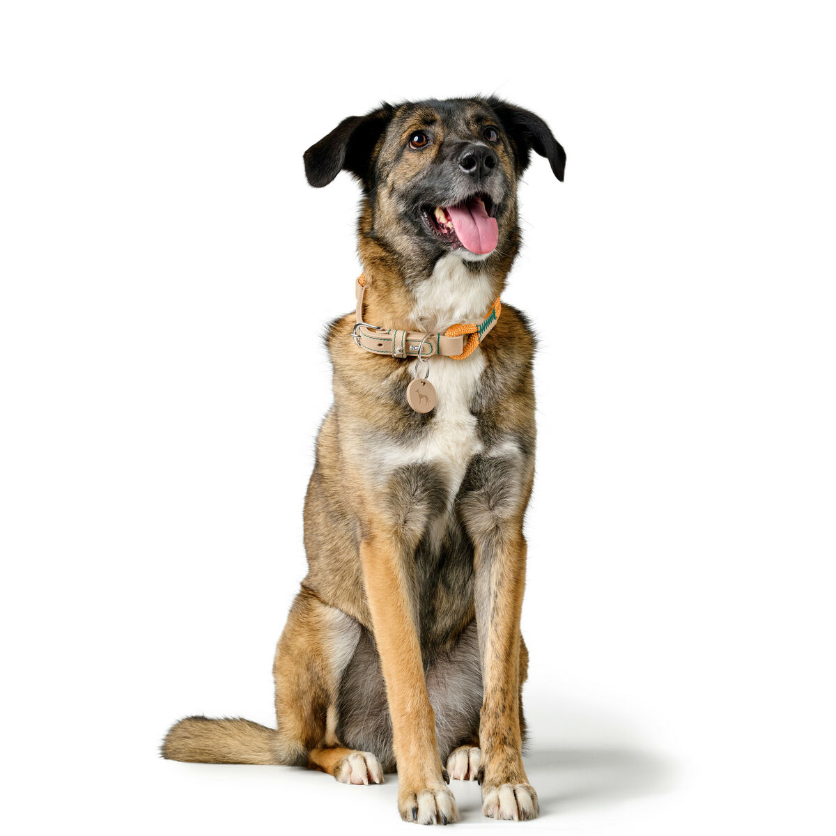 Collar para Perro Hunter Malia Naranja 12 40-49 cm