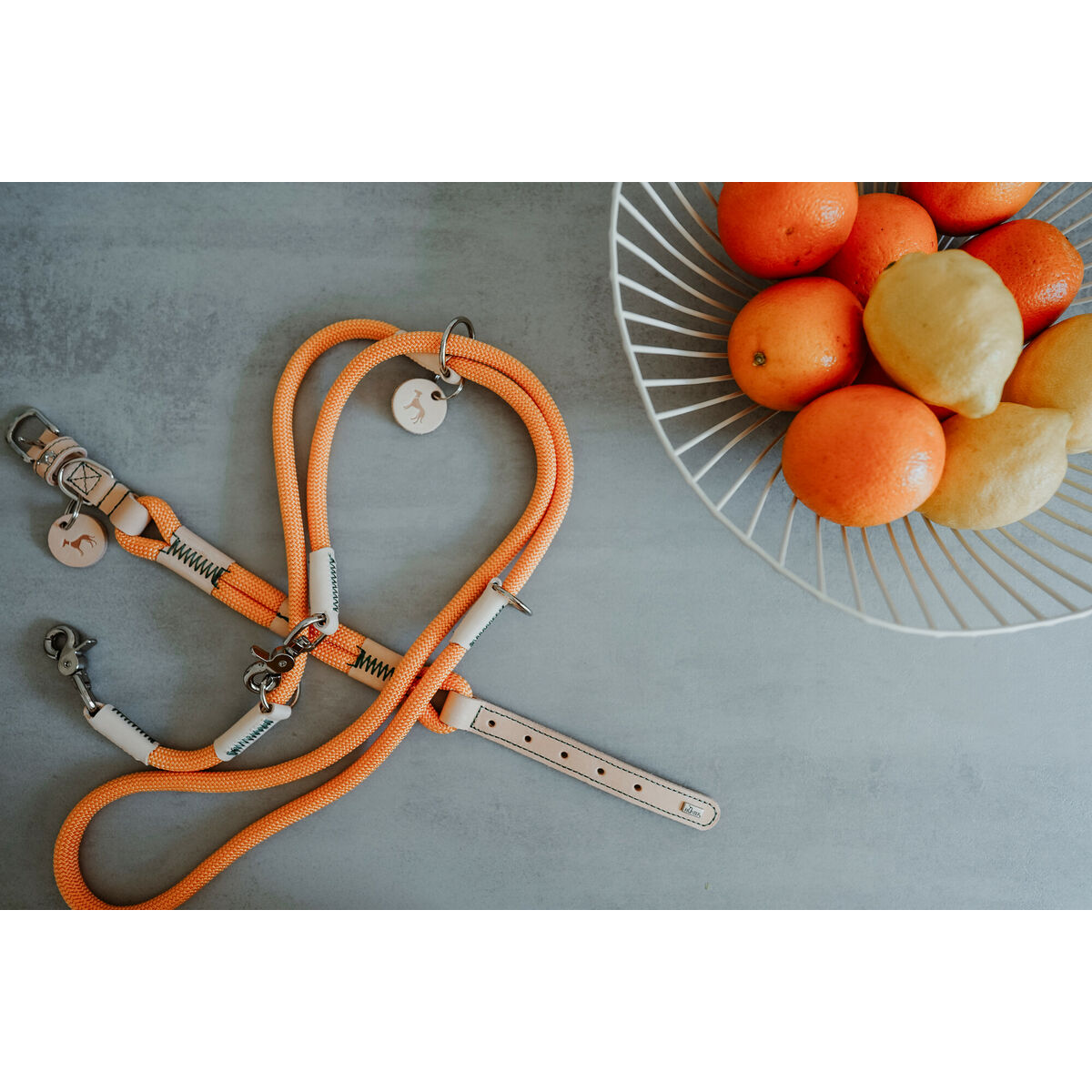 Collar para Perro Hunter Malia Naranja 12 40-49 cm