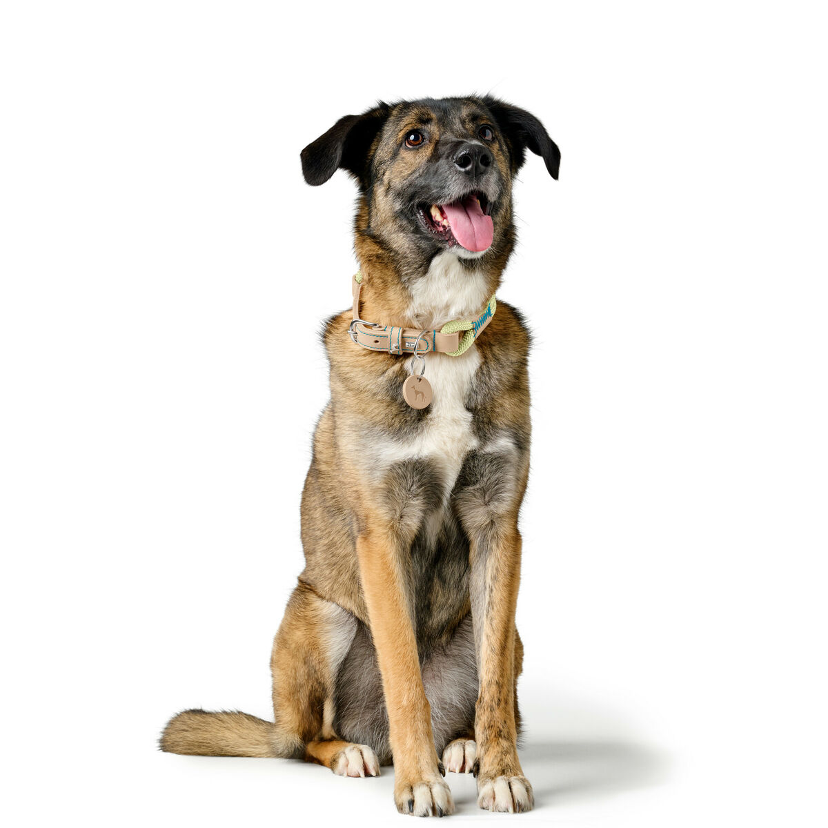 Collar para Perro Hunter MALIA Verde L 50-59 cm