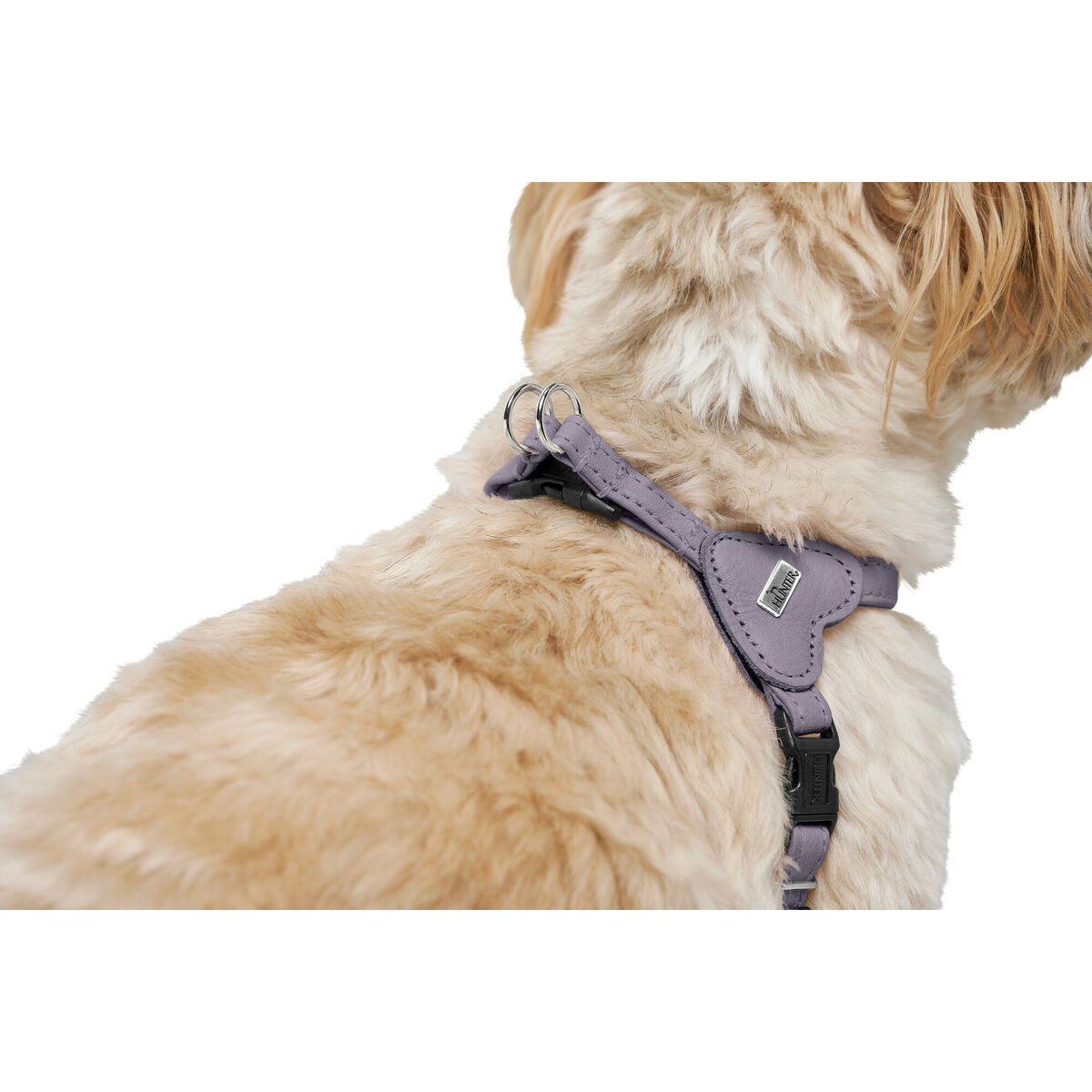 Arnés para Perro Hunter SOHO MINI Lila XXS/XS
