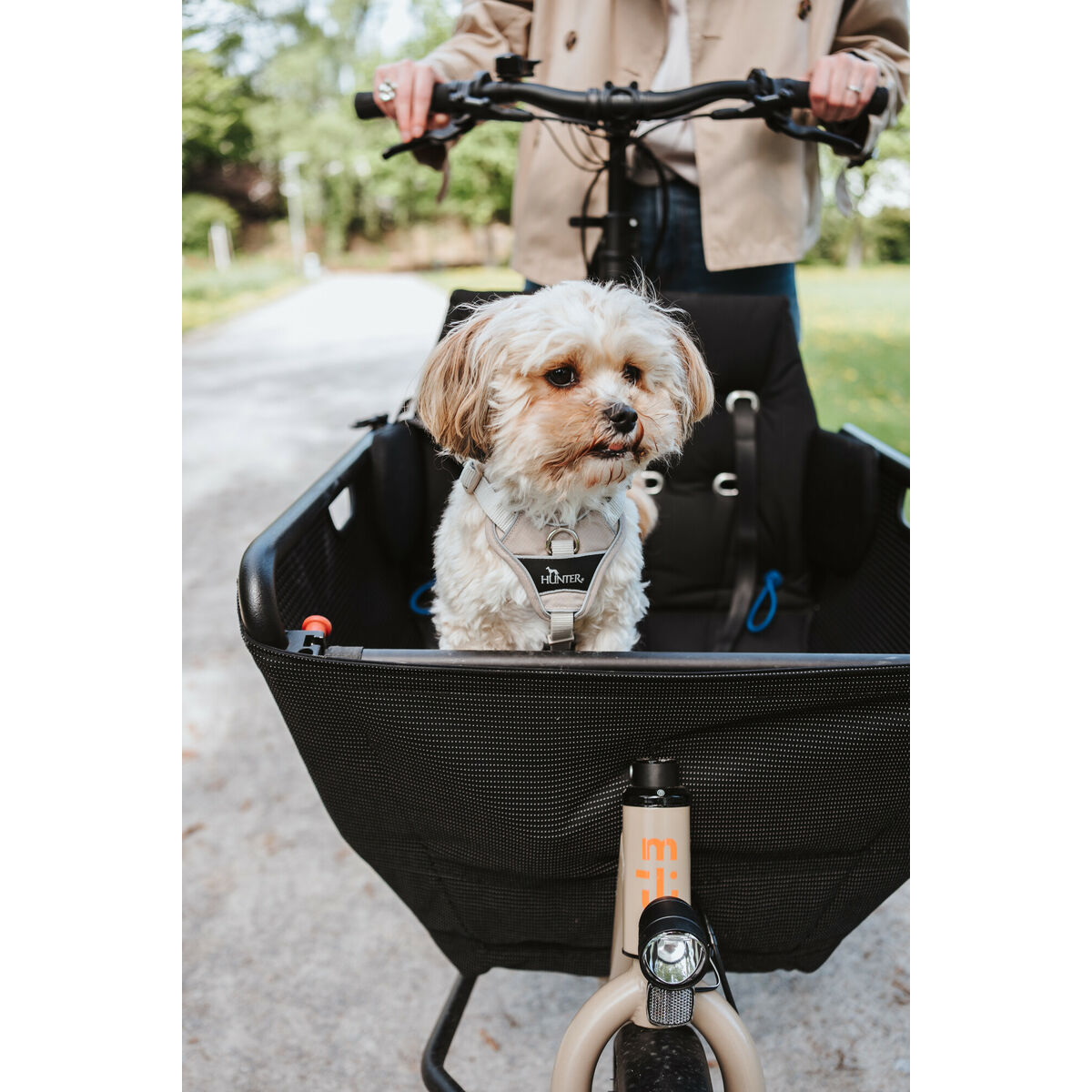 Arnés para Perro Hunter DIVO UP Beige XS