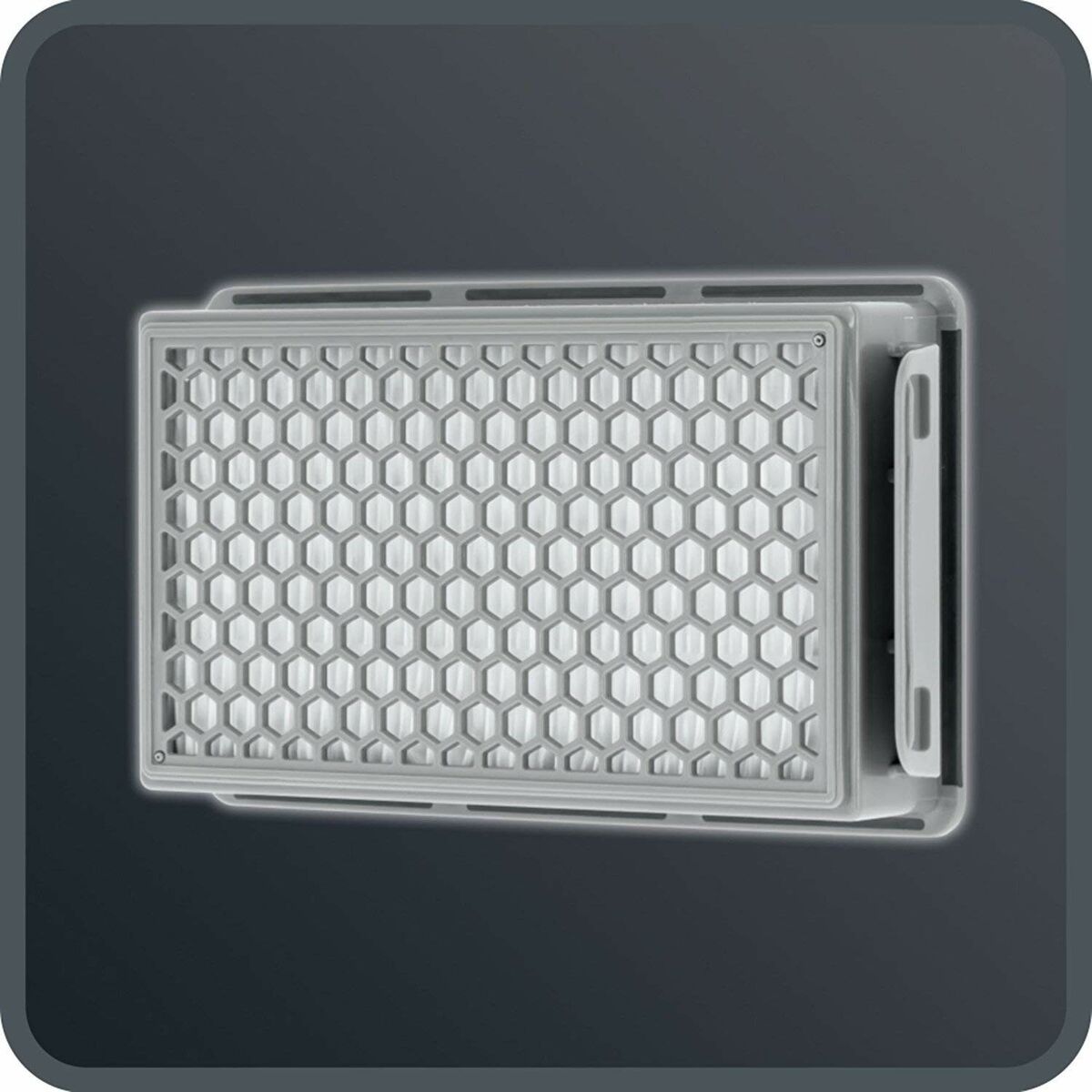 Aspiradora con Bolsa Rowenta 900 W