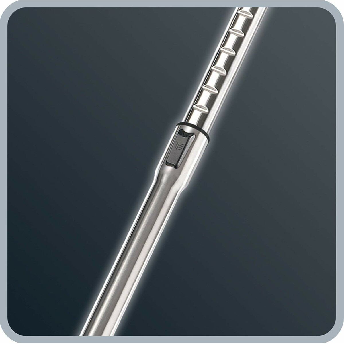 Aspiradora con Bolsa Rowenta 900 W