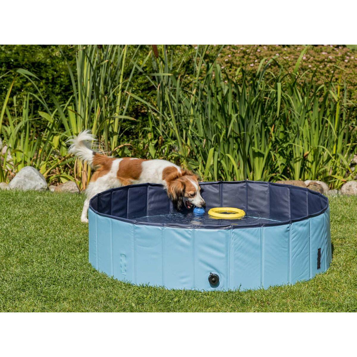 Piscina para Perros Trixie Azul claro Ø 70 × 12 CM