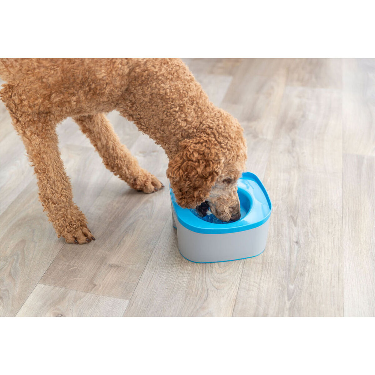 Bebedero Refrescante para Mascotas Trixie Azul Gris oscuro Plástico 21 × 11 × 21 CM