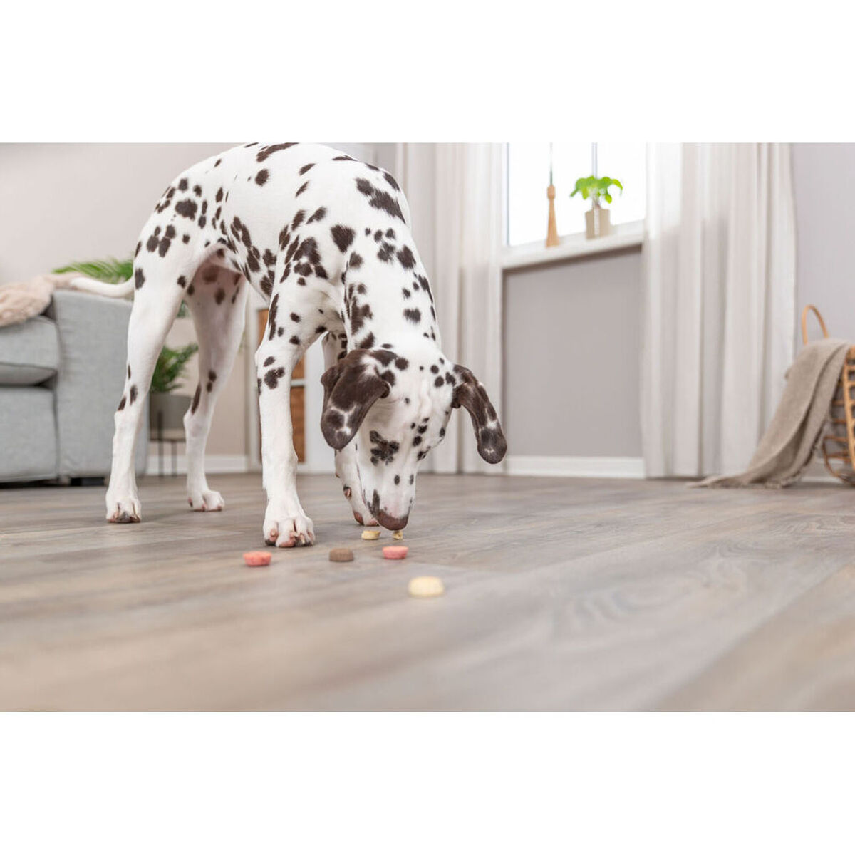 Snack para Perros Trixie Cookie Snack Loops 1,3 kg