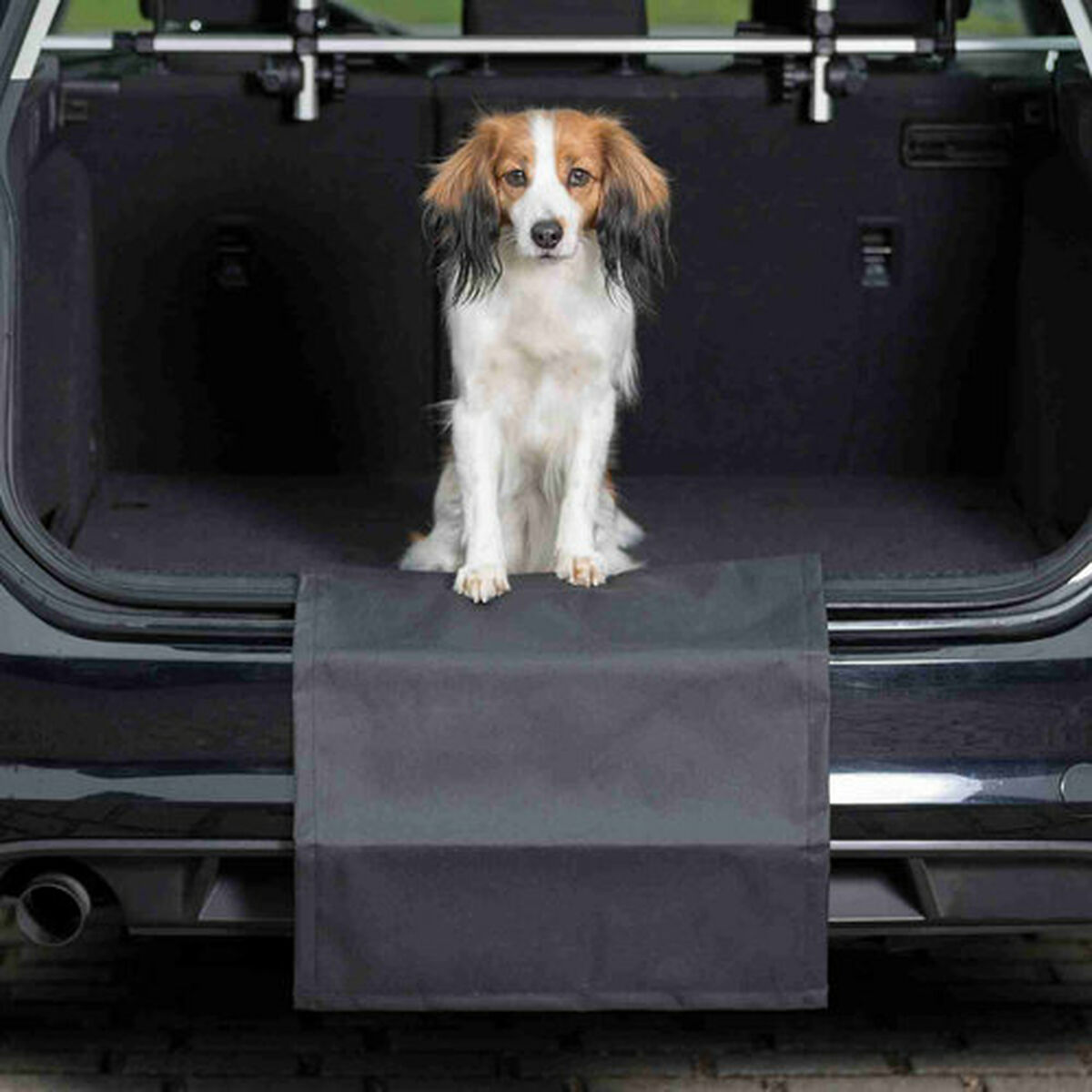 Funda Protectora de Coche para Mascotas Trixie Negro 50 × 70 cm