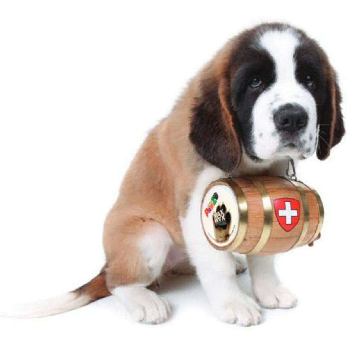 Cera Pawz MAXWAX 200 gr