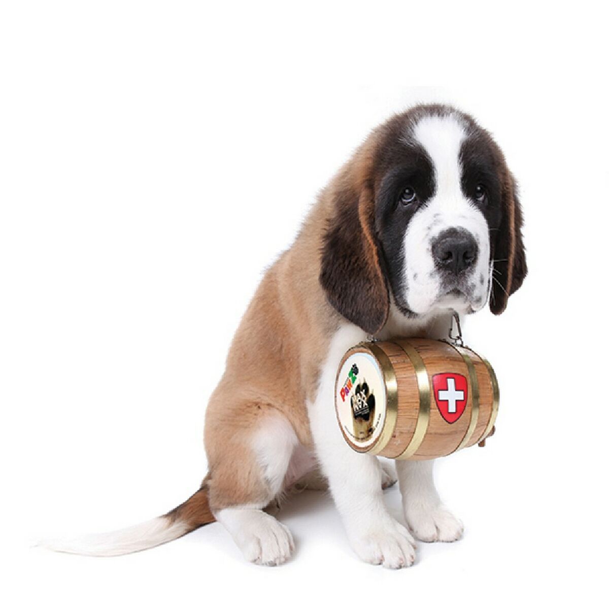 Cera Pawz MAXWAX 60 g