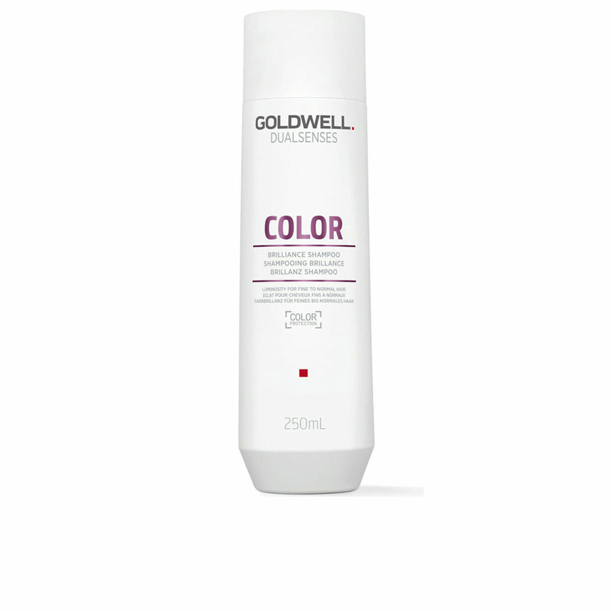 Champú Goldwell Color 250 ml