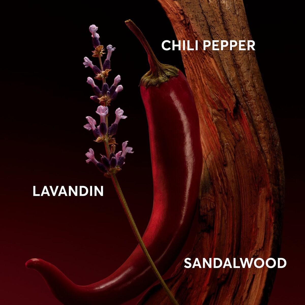 Perfume Hombre BOSS THE SCENT FOR HIM ELIXIR EDP 50 ml