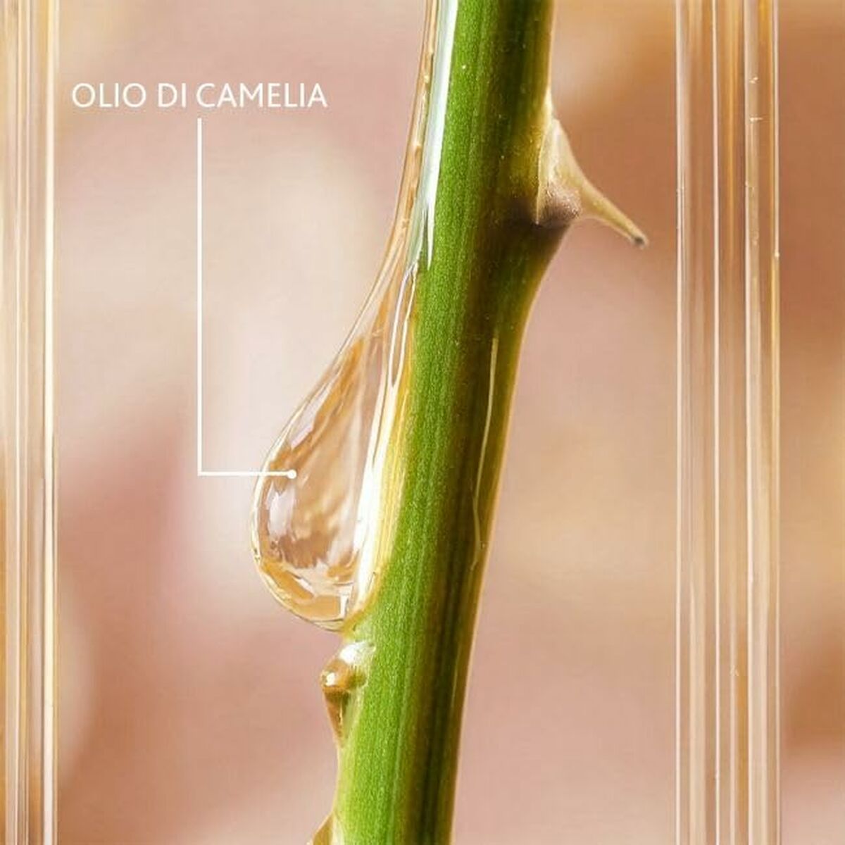 Sérum Facial Institut Esthederm EXCELLAGE 30 ml