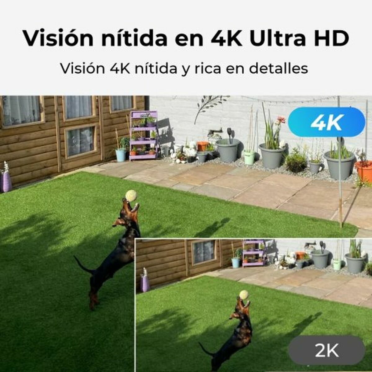 Videocámara de Vigilancia Reolink P330