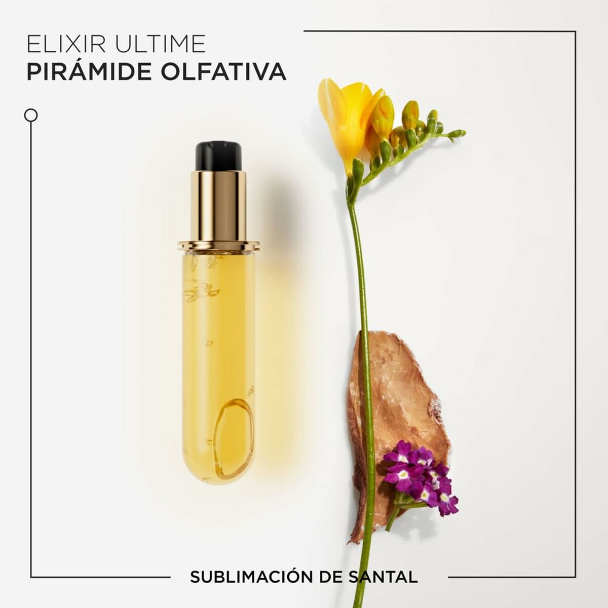 Aceite Capilar Kerastase ELIXIR ULTIME 75 ml