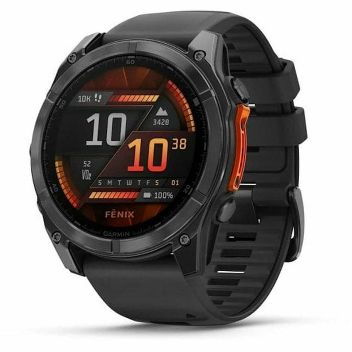 Smartwatch GARMIN 010-02905-00 Negro Gris