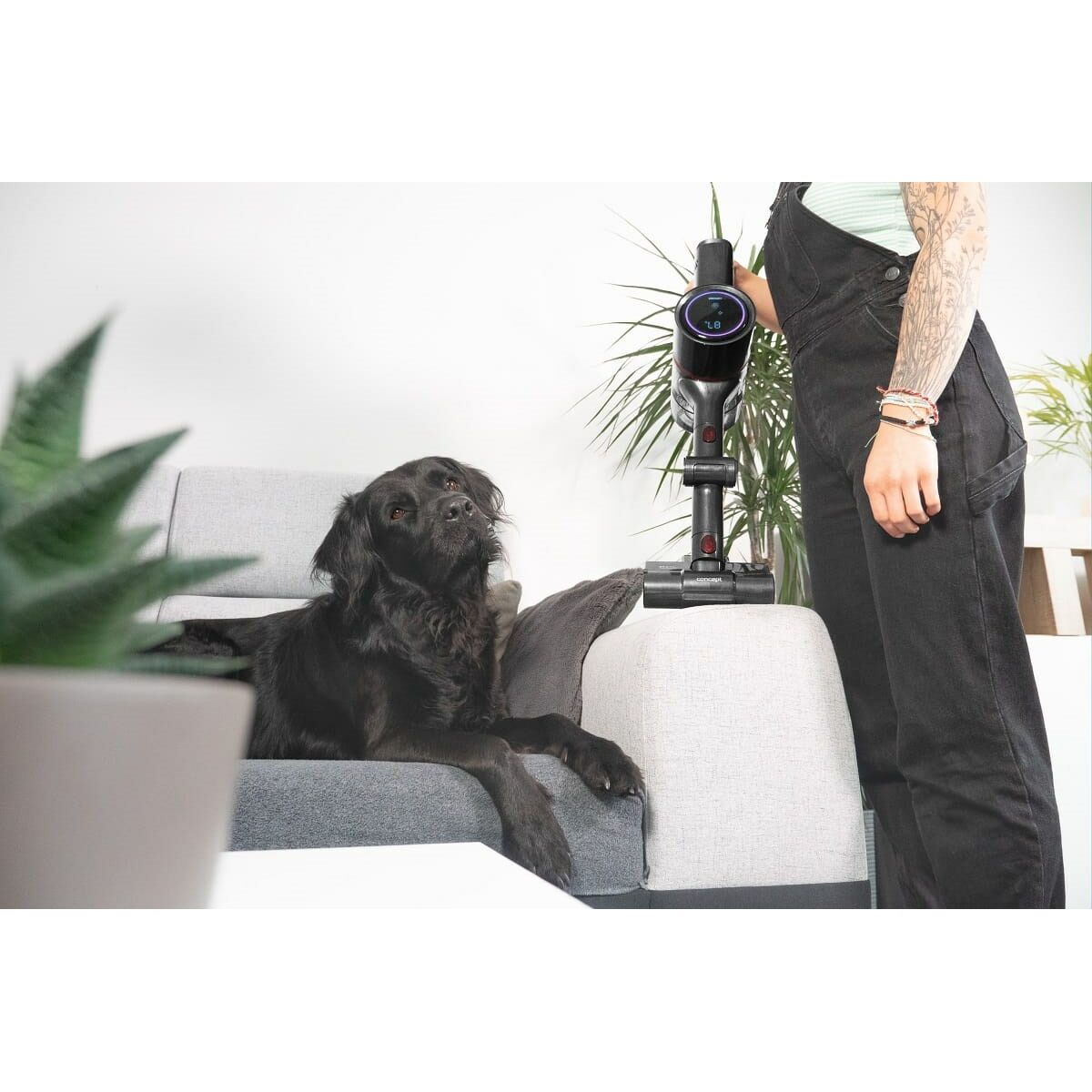 Aspirador Escoba Concept VP6250 500 W