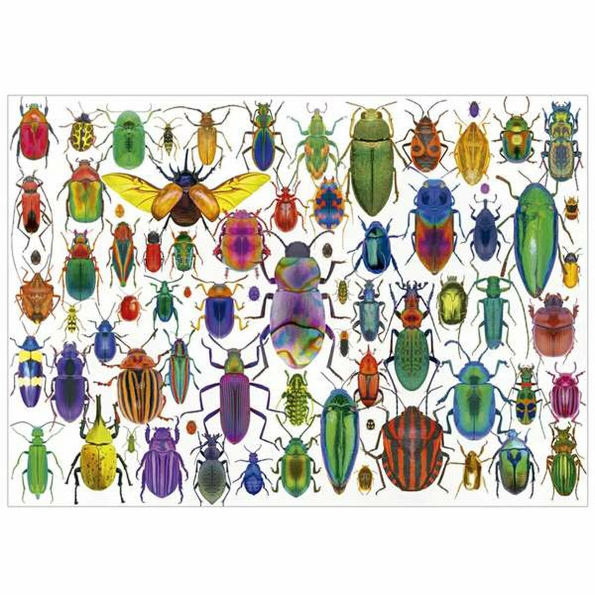 Puzzle Educa Beetles