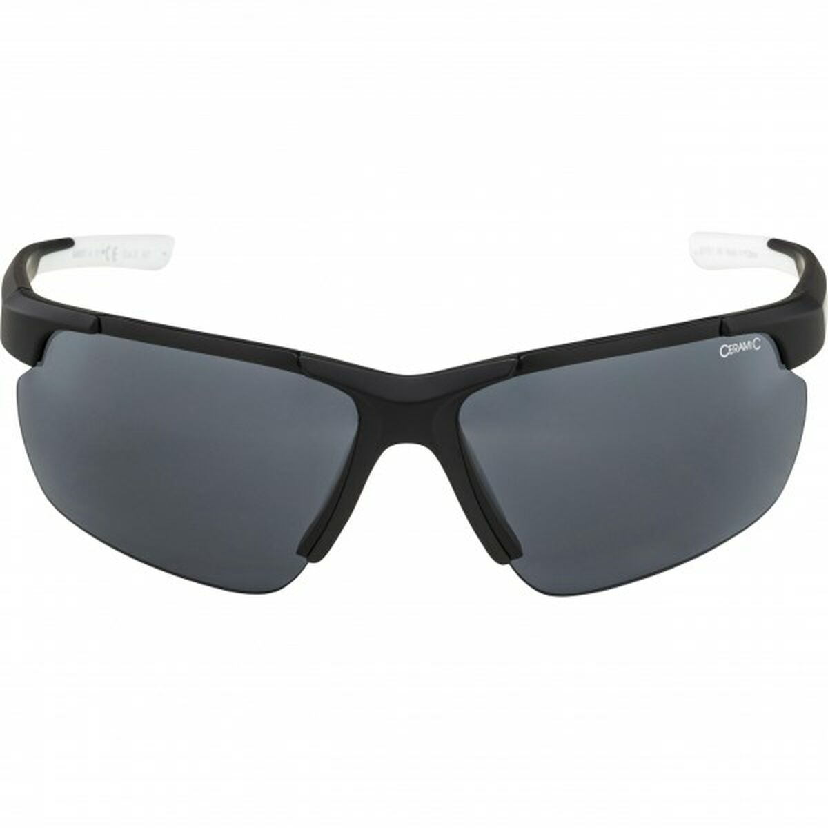 Gafas de Sol Hombre Alpina DEFEY HR