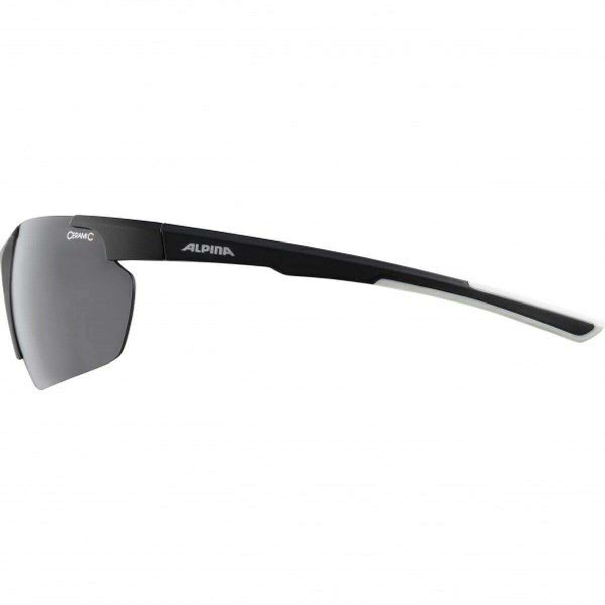 Gafas de Sol Hombre Alpina DEFEY HR
