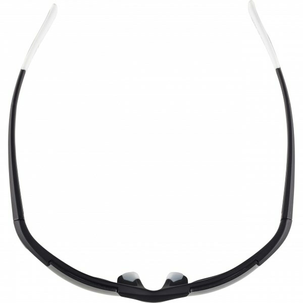 Gafas de Sol Hombre Alpina DEFEY HR