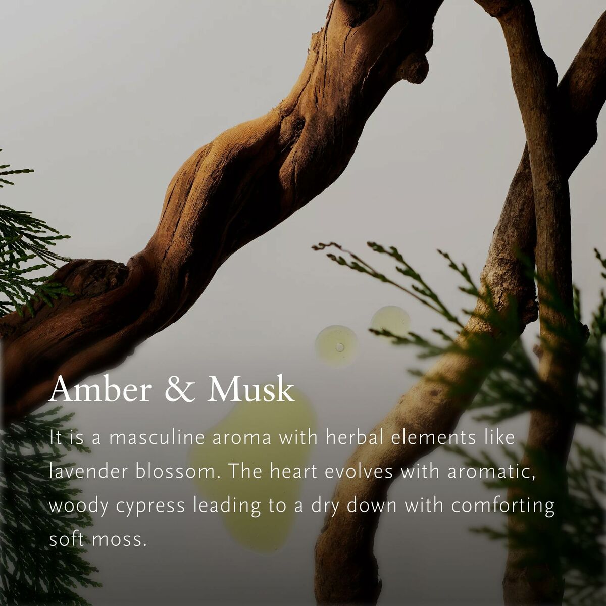 Ambientador para Coche Rituals HOMME 3 g