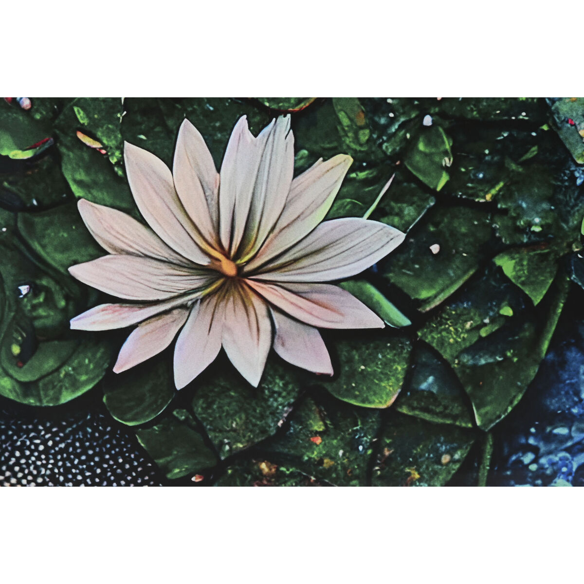 Cuadro Home ESPRIT Impreso 150 x 0,4 x 100 cm