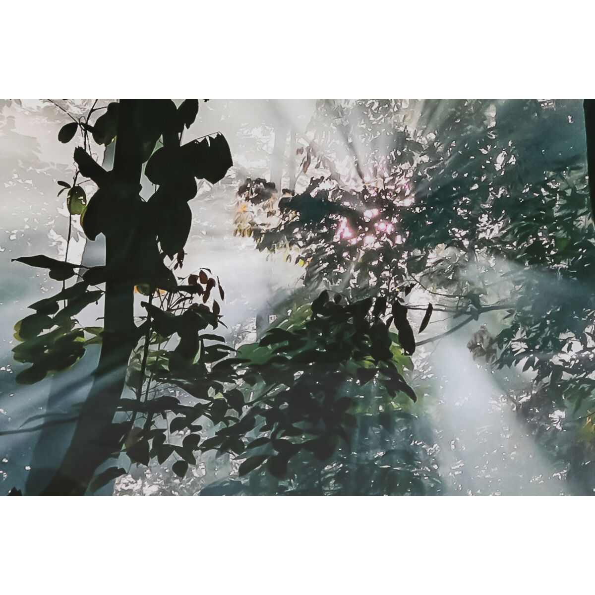 Cuadro Home ESPRIT Cristal Templado 150 x 0,4 x 100 cm