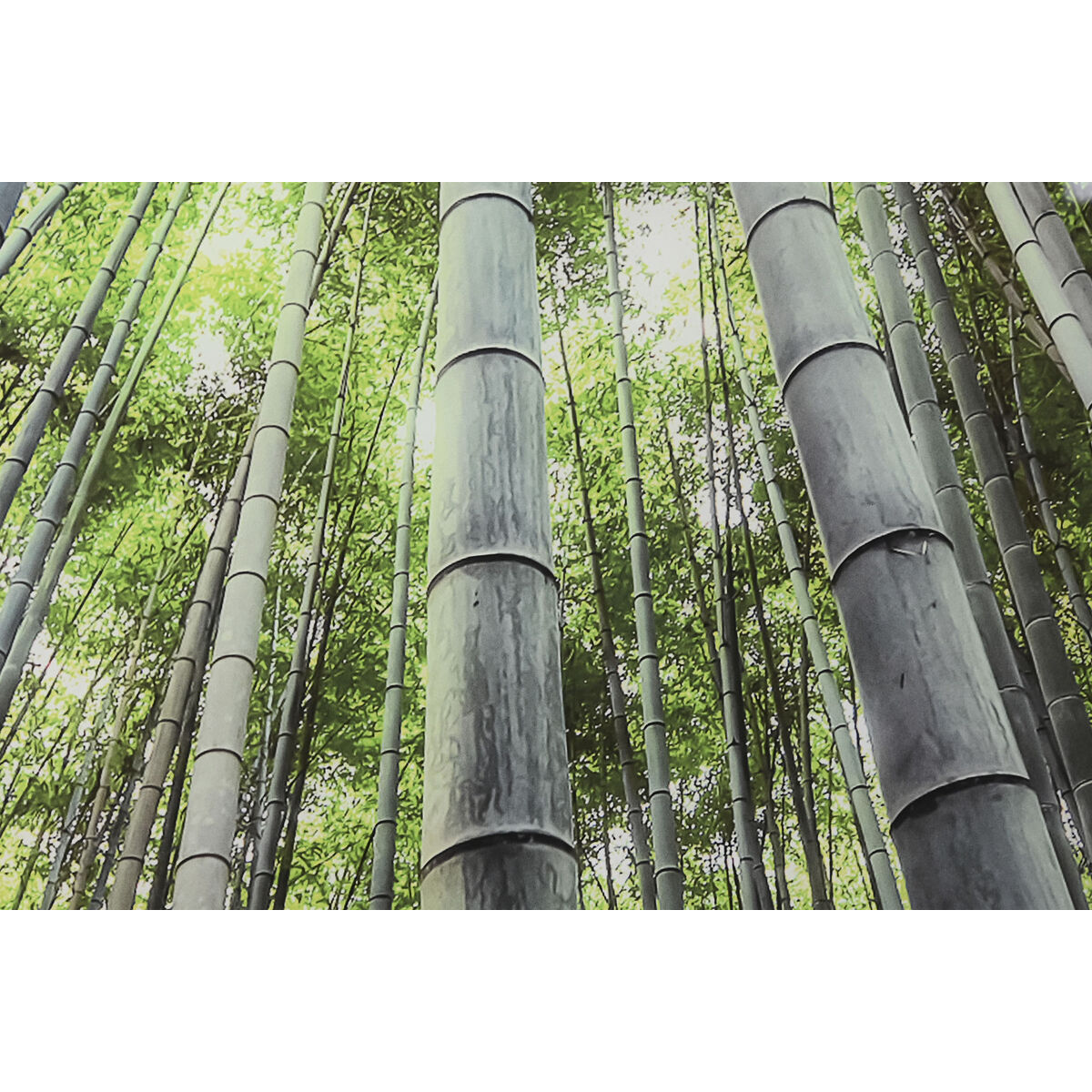 Cuadro Home ESPRIT Cristal Templado 150 x 0,4 x 100 cm