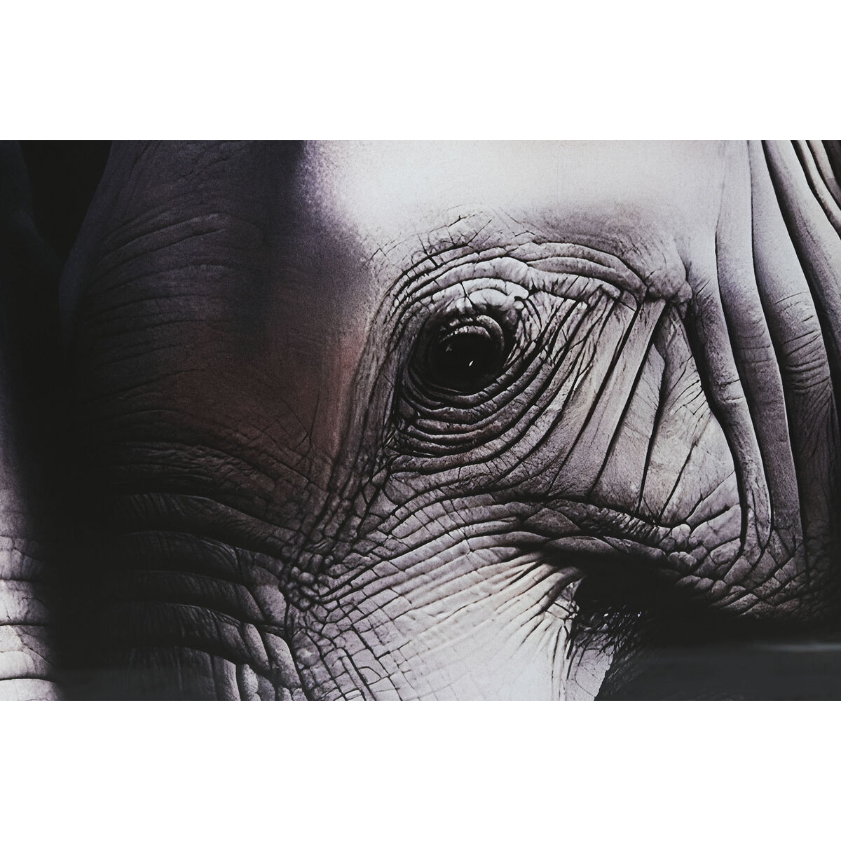 Cuadro Home ESPRIT Cristal Templado 150 x 0,4 x 100 cm