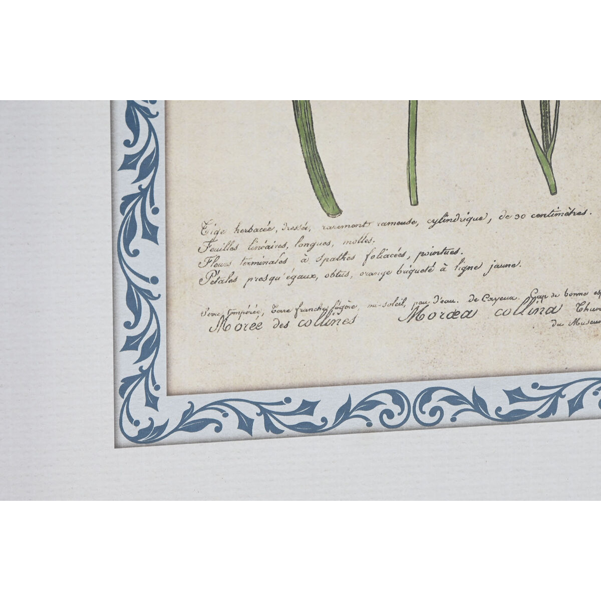 Cuadro Home ESPRIT Cristal Madera MDF 40 x 2,5 x 50 cm