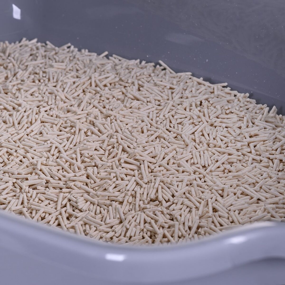 Arenero para Gatos Diamentiq 4004508810DIA Blanco Gris Plástico 40 x 38,7 x 55,5 cm