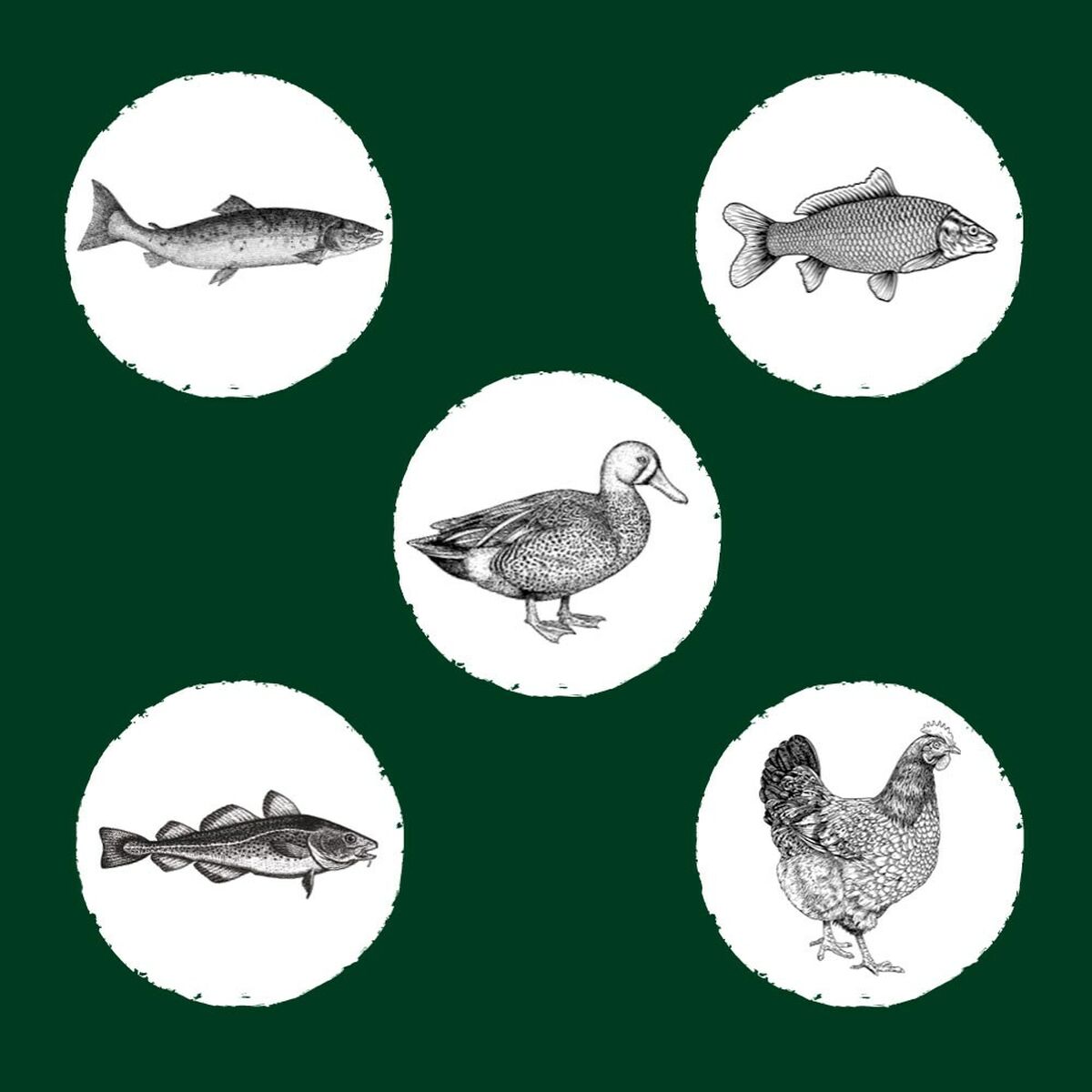 Pienso EDEN Original Cousine 10 kg