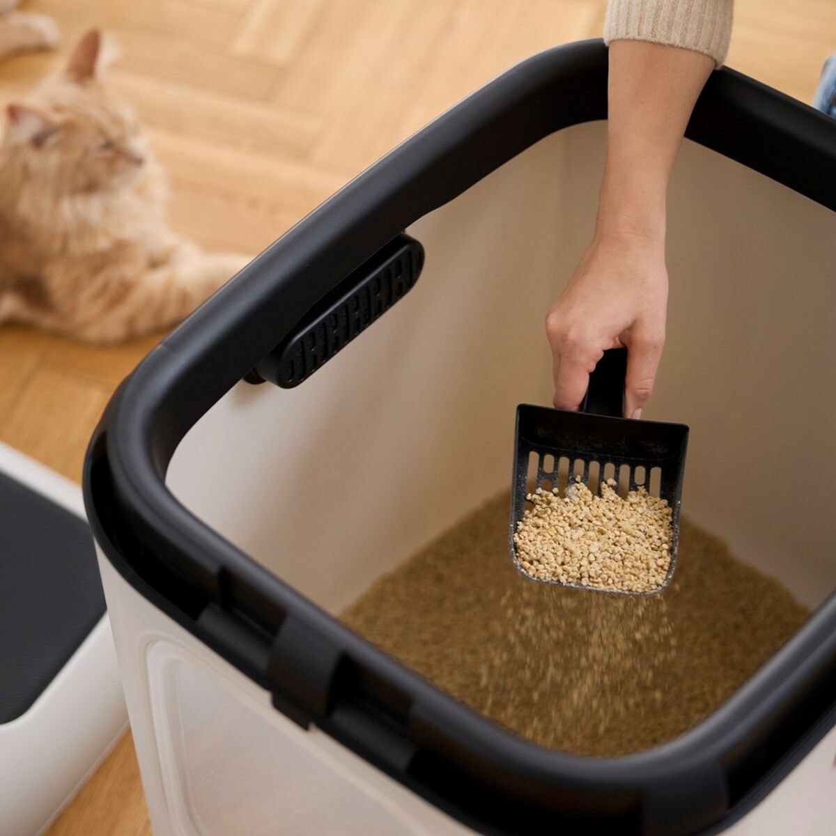 Arenero para Gatos Rotho Biala XL Blanco Plástico