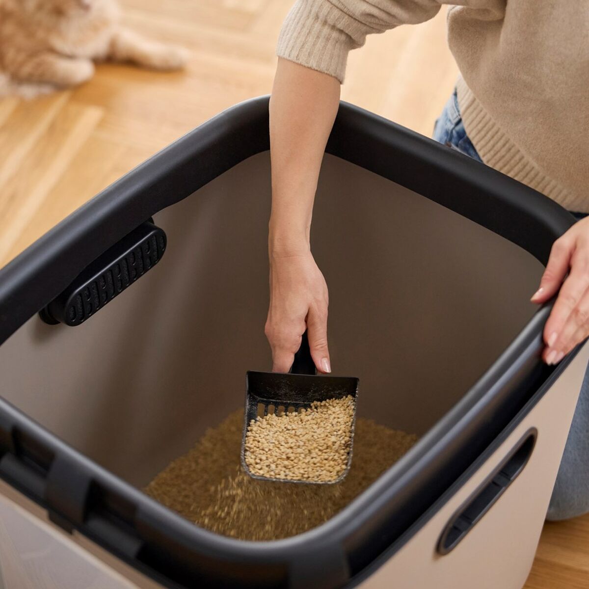 Arenero para Gatos Rotho Biala XL Cappuccino Plástico