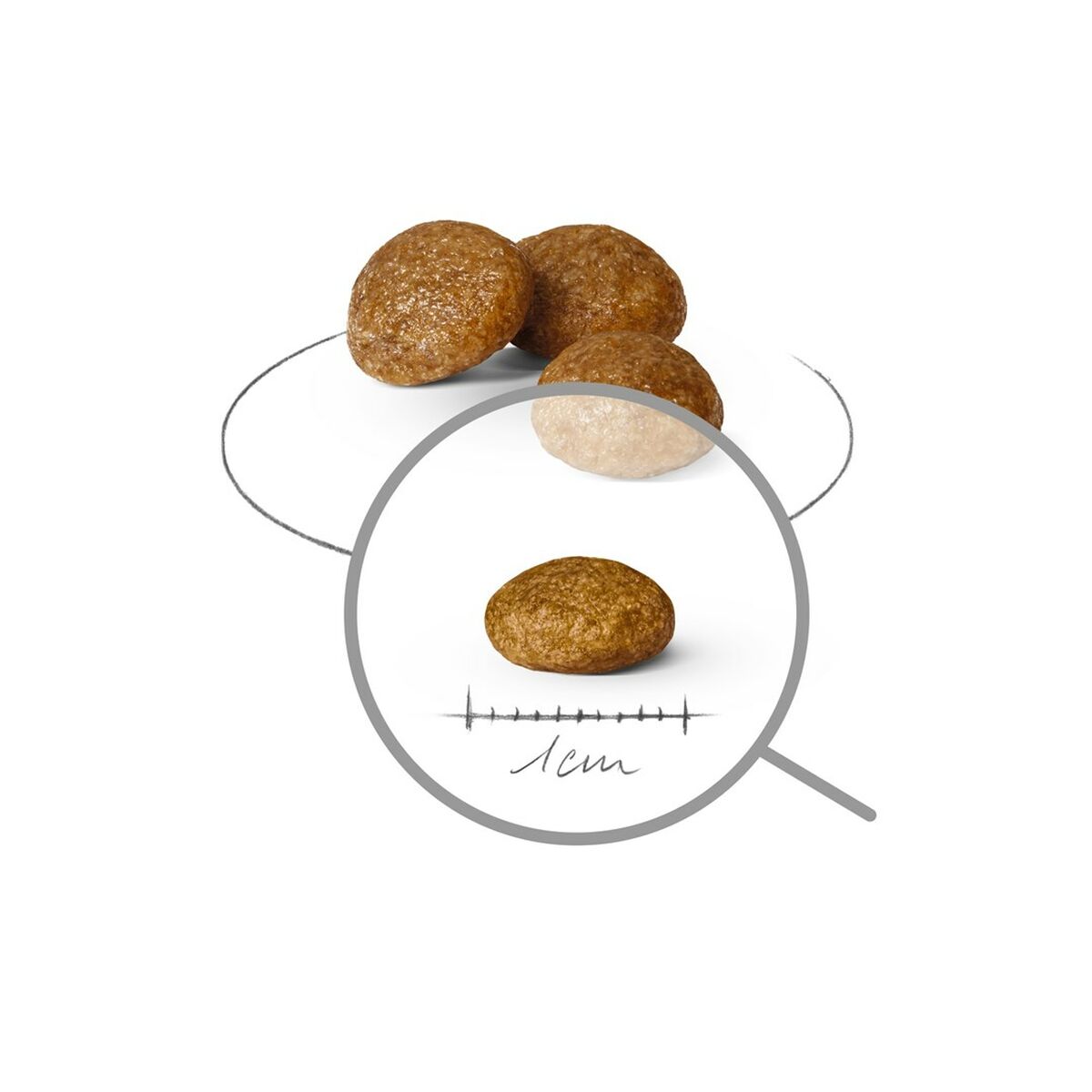 Pienso Royal Canin Adult x- small SHN Aves 500 g