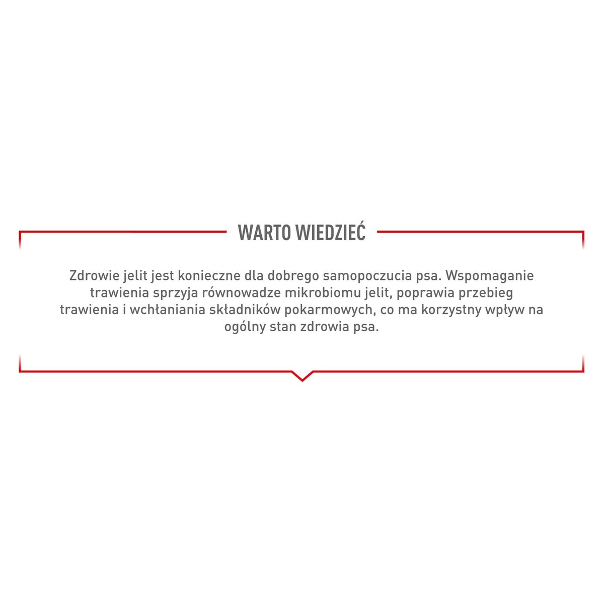 Snack para Perros Royal Canin Supplements Dog Digestion Adult 160 g