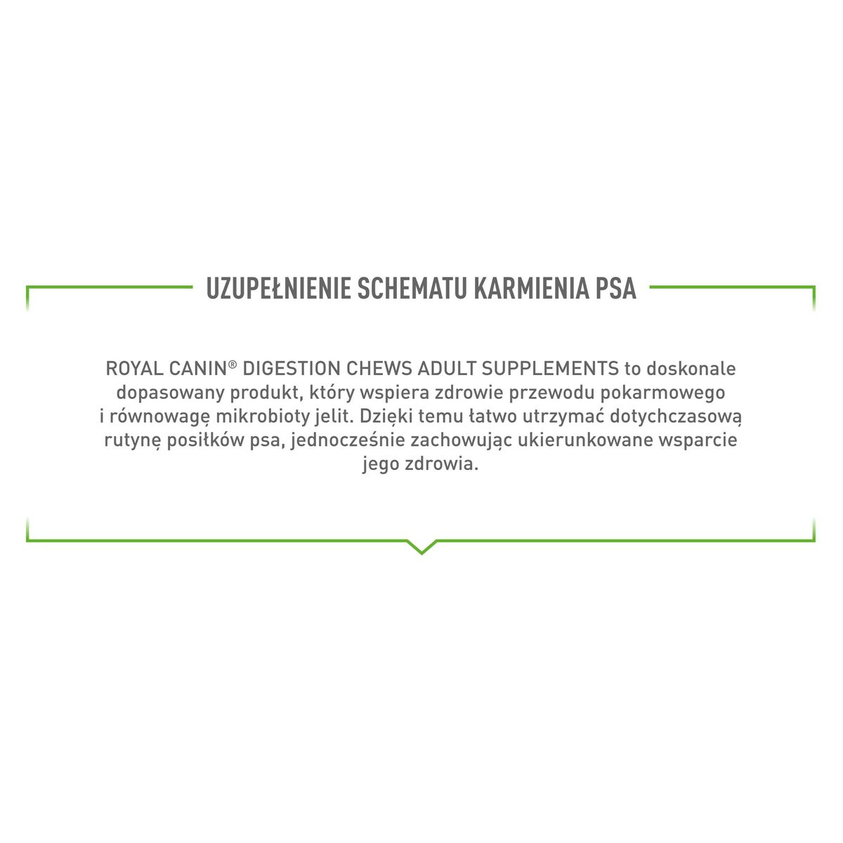 Snack para Perros Royal Canin Supplements Dog Digestion Adult 160 g