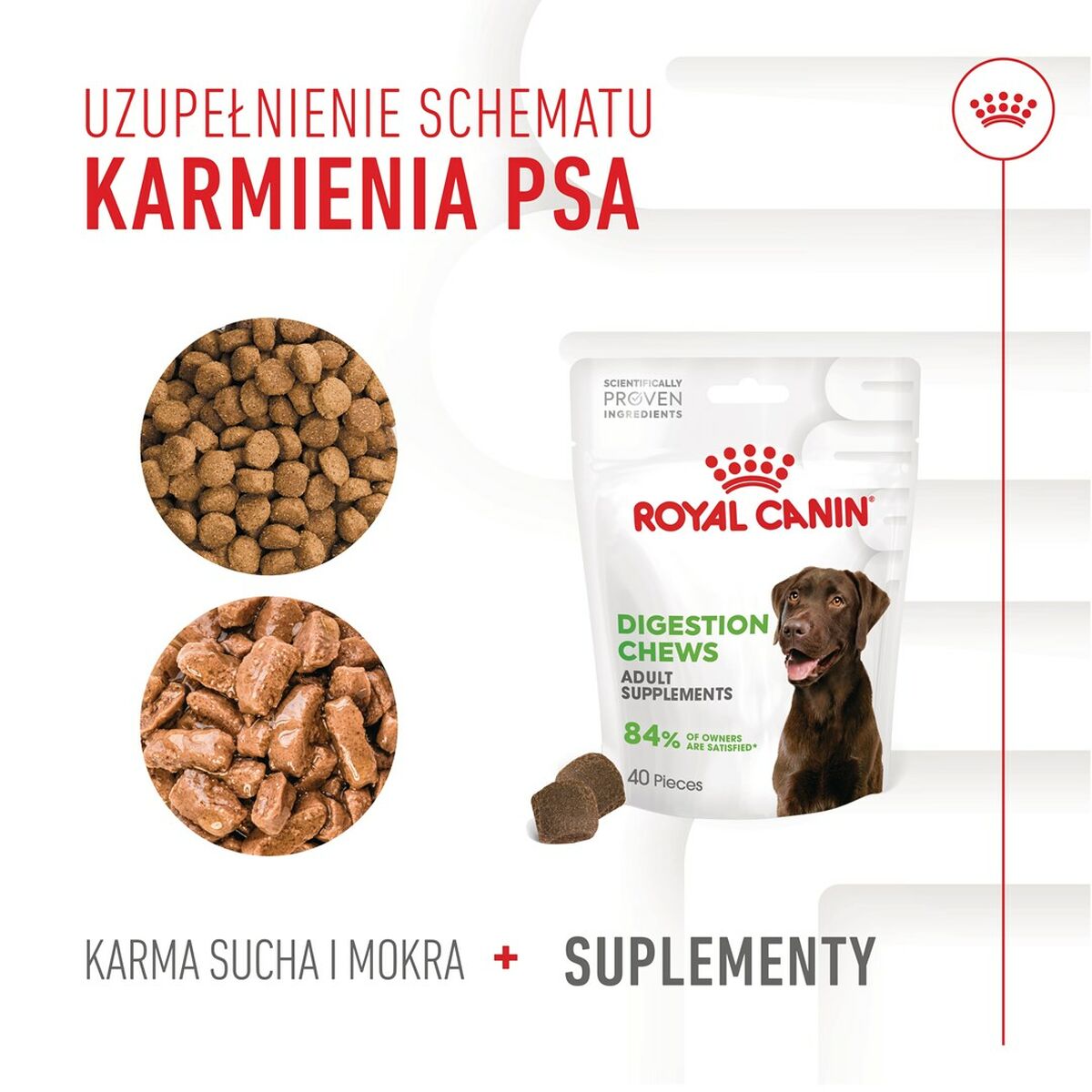 Snack para Perros Royal Canin Supplements Dog Digestion Adult 160 g