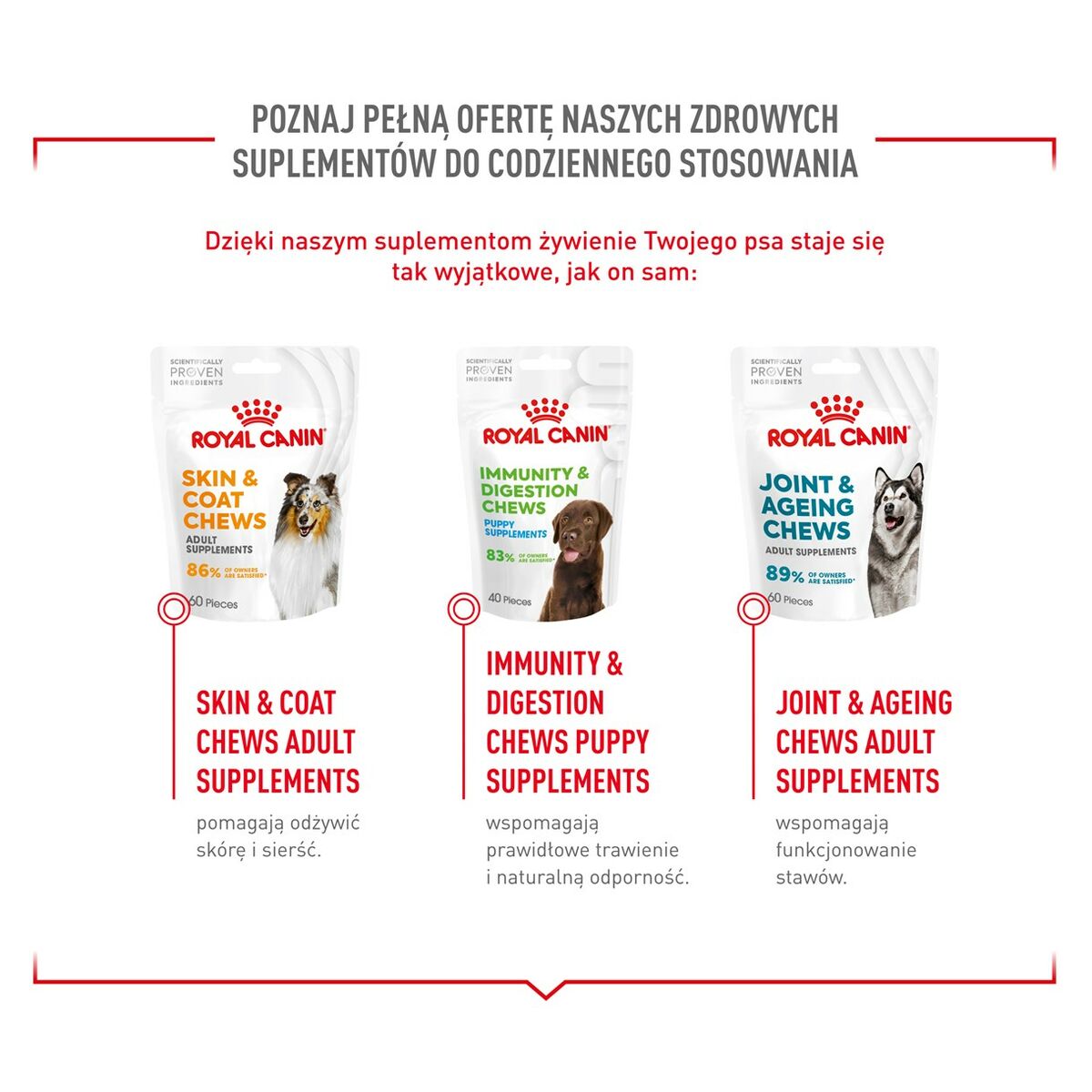 Snack para Perros Royal Canin Supplements Dog Digestion Adult 160 g