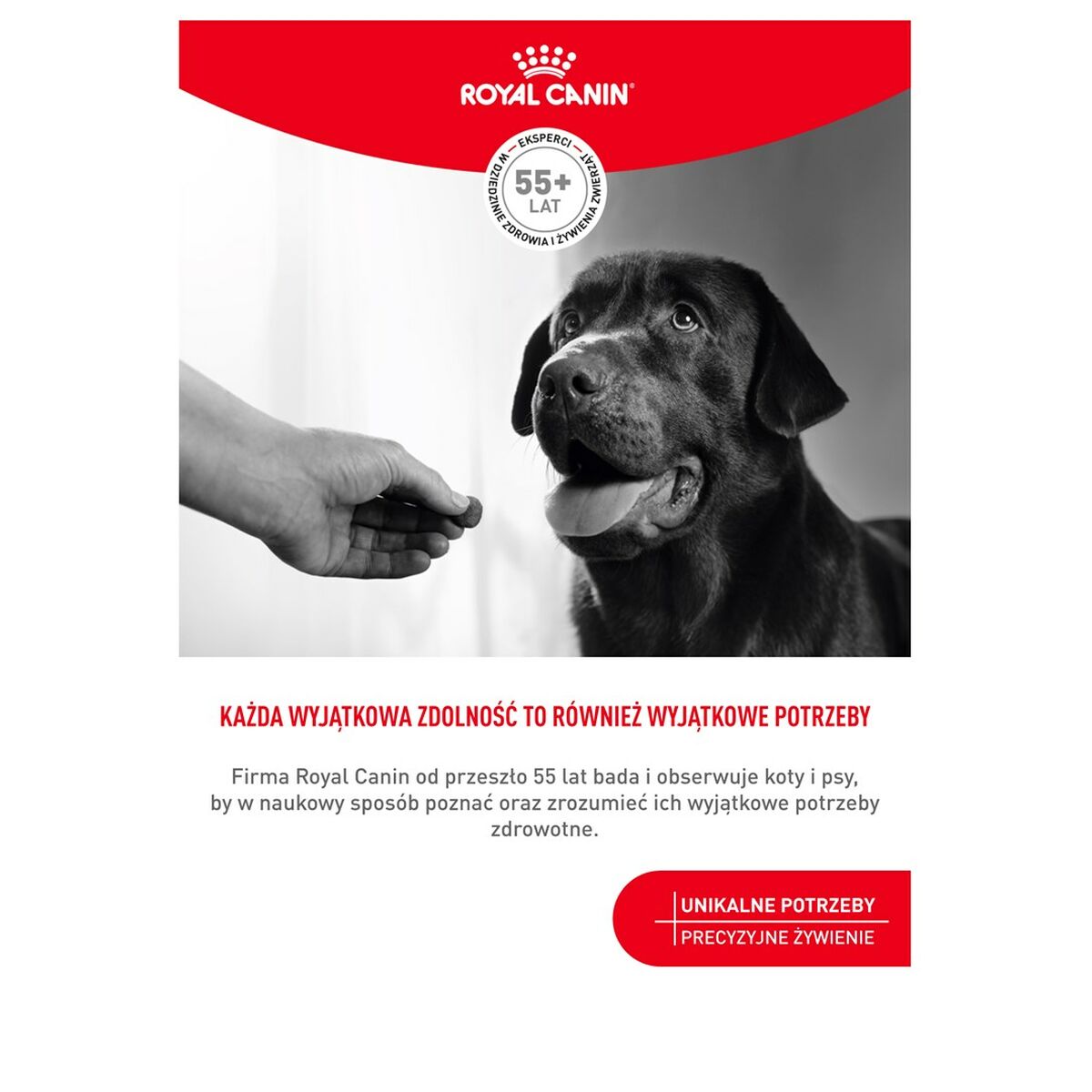 Snack para Perros Royal Canin Supplements Dog Digestion Adult 160 g
