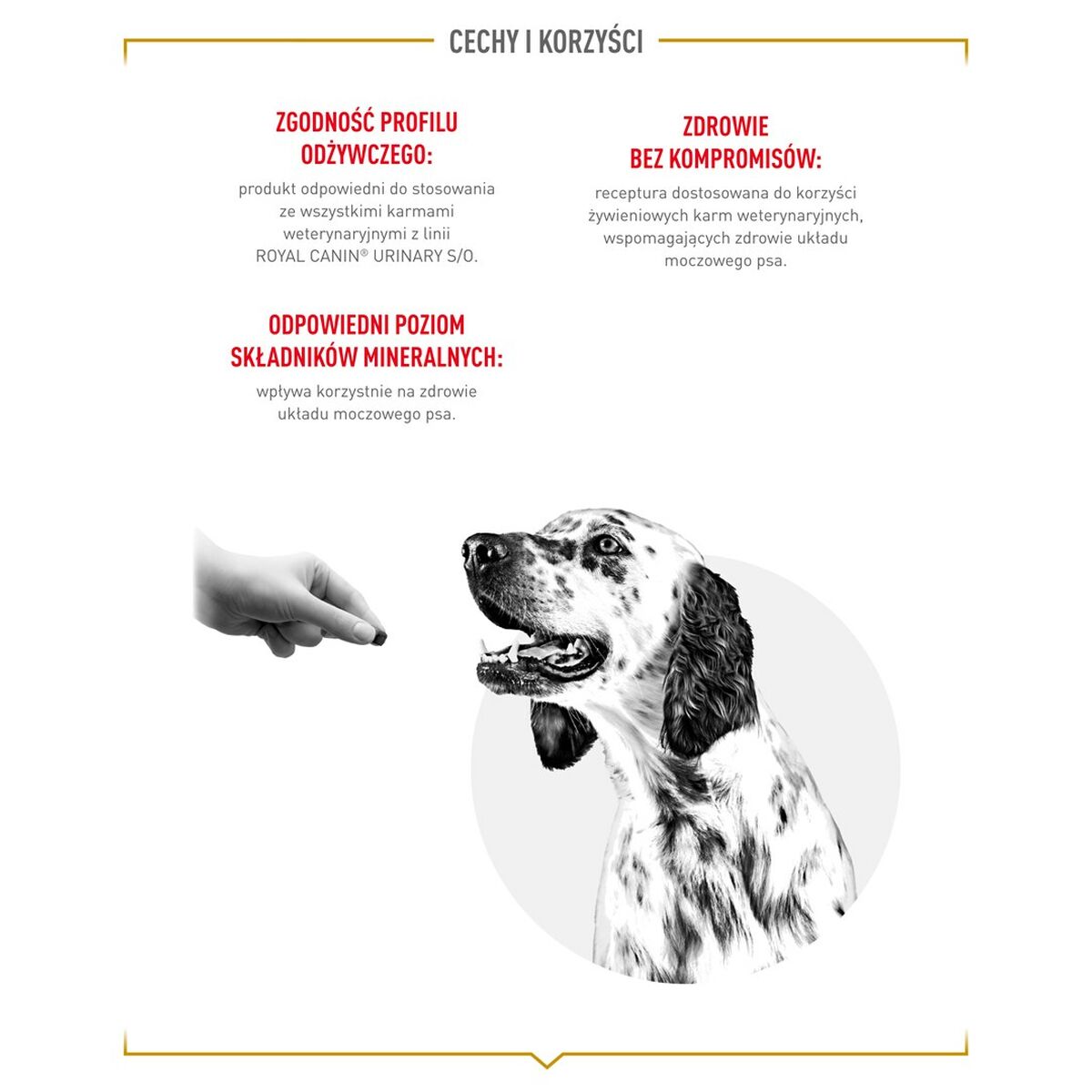 Snack para Perros Royal Canin Urinary S/O Treats 230 g