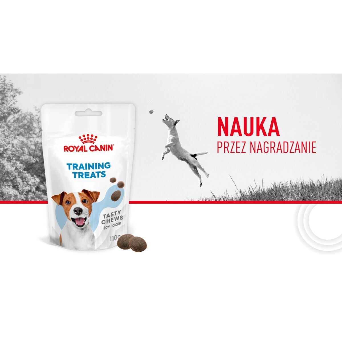 Snack para Perros Royal Canin Training Treats 110 g